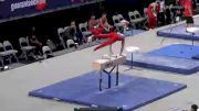 David Shamah - Pommel Horse, WOGA - 2021 US Championships
