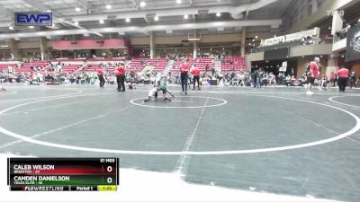 88 lbs Cons. Round 4 - Camden Danielson, Texas Elite vs Caleb Wilson, Brighton