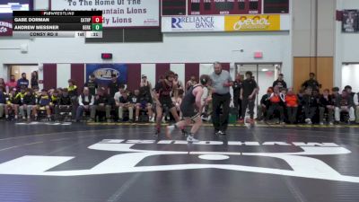 145 lbs Consy Rd Ii - Gabe Dorman, Cathedral Preparatory vs Andrew Messner, Berks Catholic