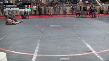 105_B lbs Quarterfinal - Cameron Rihn, Montour vs Brody Wehrheim, Parkland