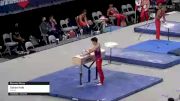 Dallas Hale - Pommel Horse, WOGA - 2021 US Championships