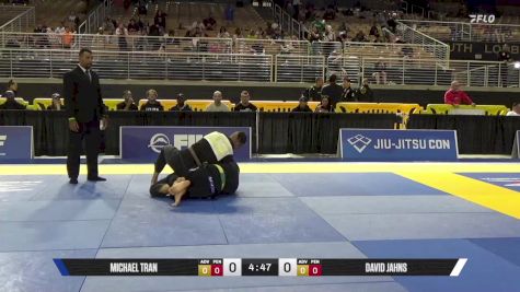 David Jahns vs Michael Tran 2025 Pan Jiu Jitsu IBJJF Championship