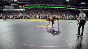 D4-138 lbs Quarterfinal - Logan Mears, Union City vs Carter Foster, Leslie