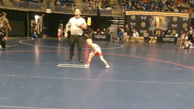 45 lbs Round Of 32 - Roman Nelligan, Spring-Ford vs Orlando Benczo, Belle Vernon