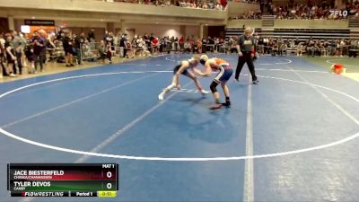 102 lbs Cons. Round 1 - Jace Biesterfeld, Chaska/Chanhassen vs Tyler DeVos, Canby