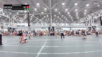 88 lbs Round 2 (8 Team) - Gino Hayes, Revival Jokers vs Milo Hake, Prestige Worldwide