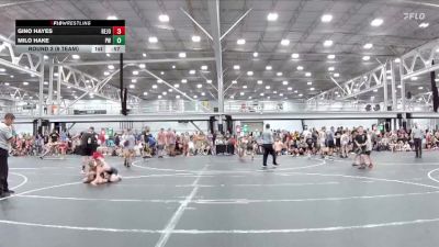 88 lbs Round 2 (8 Team) - Gino Hayes, Revival Jokers vs Milo Hake, Prestige Worldwide