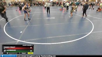 114 lbs Champ. Round 2 - Chase O`Riley, IA vs Bo Dominguez, TN