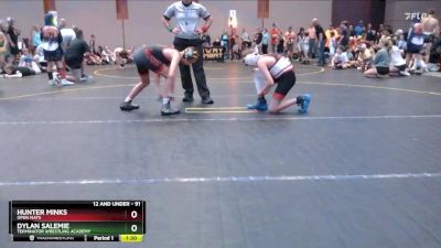 91 lbs Cons. Round 2 - Hunter Minks, Open Mats vs Dylan Salemie, Terminator Wrestling Academy