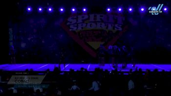 Element All Stars - Cobalt [2024 L5 Senior Coed - D2 DAY 1] 2024 Spirit Sports Worcester Nationals