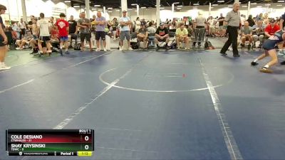 110 lbs Round 1 (4 Team) - Cole Desiano, CTWHALES vs Shay Krysinski, TDWC