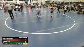 113 lbs Cons. Round 4 - Ty Reeves, CO vs Cole Gentsch, IL