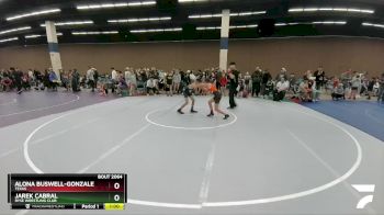 88-90 lbs Round 2 - Alona Buswell-Gonzales, Texas vs Jarek Cabral, Ryse Wrestling Club