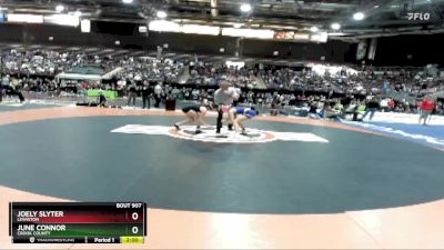 114 lbs Quarterfinal - Joely Slyter, Lewiston vs June Connor, Crook County