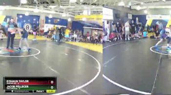 138 lbs Semis & Wb (16 Team) - Jacob Pellecer, Wellington vs D`Shaun Taylor, Avalon WV