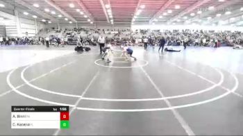 126 lbs Quarterfinal - Andrew Binni, PA vs Colin Kacena, FL