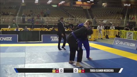 Tosca Eleanor Necoechea vs Robin Sharrock Mills 2025 Pan Jiu Jitsu IBJJF Championship