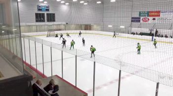 Replay: Home - 2025 Black U12 vs Green U12 | Jun 28 @ 7 PM