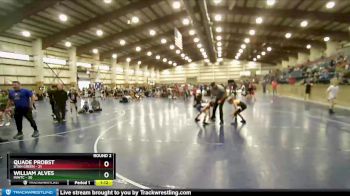 77 lbs Round 2 (4 Team) - William Alves, INWTC vs Quade Probst, Utah Green