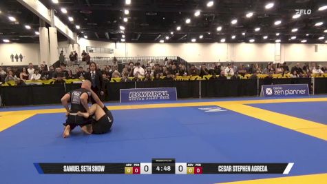 Cesar Stephen Agreda vs Samuel Seth Snow 2025 World IBJJF Jiu-Jitsu No-Gi Championship