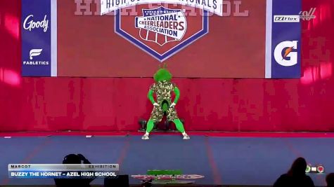 Buzzy the Hornet - Azel High School [2026 Mascot Exhibition] 2026 NCA High School Nationals