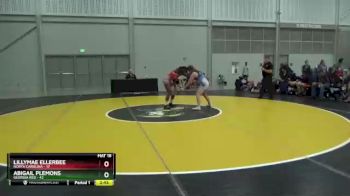 138 lbs Semis & 1st Wrestleback (8 Team) - Lillymae Ellerbee, North Carolina vs Abigail Plemons, Georgia Red