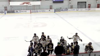 Replay: Home - 2023 Tigers U18 A vs ND Hounds U18 A | Nov 17 @ 7 PM