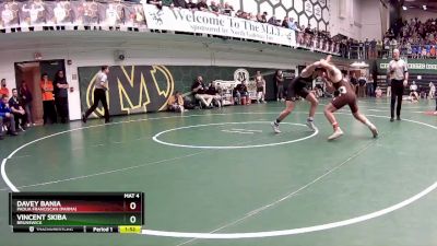 126 lbs Champ. Round 2 - Davey Bania, Padua Franciscan (Parma) vs Vincent Skiba, Brunswick