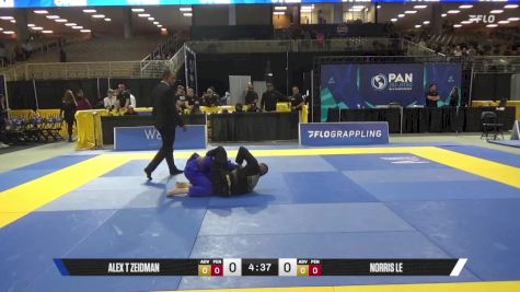 Norris Le vs Alex T Zeidman 2025 Pan Jiu Jitsu IBJJF Championship