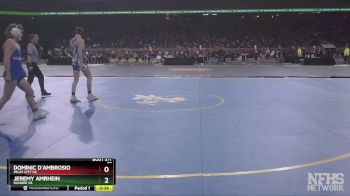 D3-138 lbs 3rd Place Match - Jeremy Amrhein, Dundee HS vs Dominic D`Ambrosio, Imlay City HS