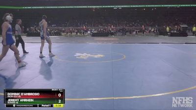 D3-138 lbs 3rd Place Match - Jeremy Amrhein, Dundee HS vs Dominic D`Ambrosio, Imlay City HS