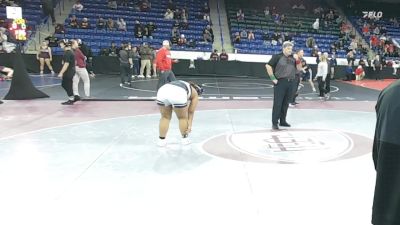 185 lbs Semifinal - Madison Beauregard, Concord vs Storm Pizzaro, Putnam