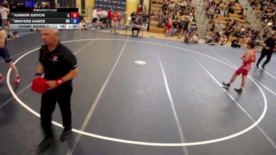 126 lbs Champ. Round 2 - Kannon Judycki, IL vs Brayden Hawes, MN
