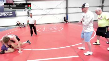 135 lbs Rr Rnd 2 - Logan Peaglor, All-American Wrestling Club MS vs Henry Cai, Team Shutt Dethrone