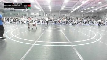 65 lbs Rr Rnd 3 - Vincenzo Destefano, All-American Wrestling Club Red vs Jace Britton, Felix Wrestling Academy