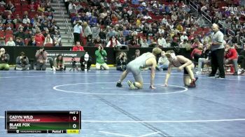 2A-138 lbs Semifinal - Blake Fox, Osage vs Cadyn Wild, Assumption, Davenport