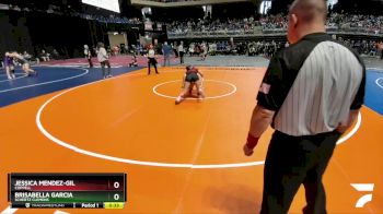6A 138 lbs Cons. Round 3 - Brisabella Garcia, Schertz Clemens vs Jessica Mendez-Gil, Coppell
