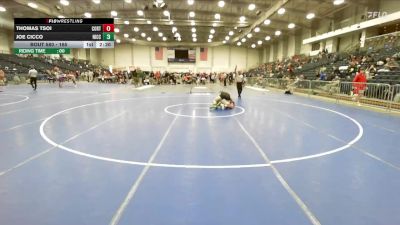 165 lbs Cons. Round 5 - Thomas Tsoi, Cortland vs Joe Cicco, Niagara County Community College