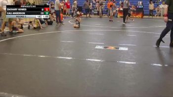 80 lbs Round 3 - Zachary Gomes, Nation Ford vs Cali Anderson, Summerville Take Down