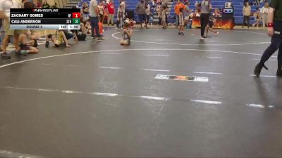 80 lbs Round 3 - Zachary Gomes, Nation Ford vs Cali Anderson, Summerville Take Down