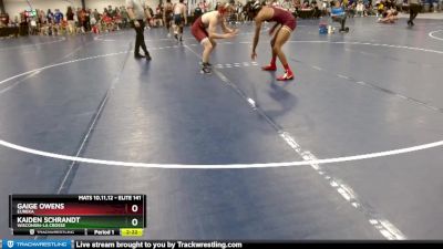 Elite 141 lbs Cons. Round 4 - Kaiden Schrandt, Wisconsin-La Crosse vs Gaige Owens, Eureka