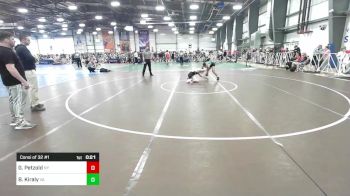 132 lbs Consi Of 32 #1 - Griffin Petzold, NY vs Branden Kiraly, VA