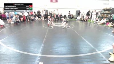 54 lbs Semifinal - Carson Gallo, Central IL RAGE-Yth vs Vinny Lashaway, Neighborhood WC-YTH