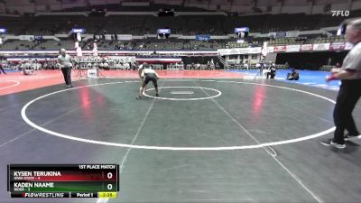 125 lbs Finals (2 Team) - Kysen Terukina, Iowa State vs Kaden Naame, Rider