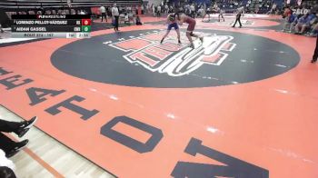 197 lbs Quarterfinal - Aidan Gassel, Case Western Reserve vs Lorenzo Pellot-Vázquez, Roanoke