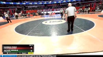 2A 195 lbs Cons. Semi - Nathan Wrublik, Lemont (H.S.) vs Gambino Perez, Chicago (Brother Rice)