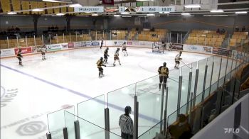 Replay: Home - 2025 Golden Hawks vs Tigers | Jan 11 @ 7 PM