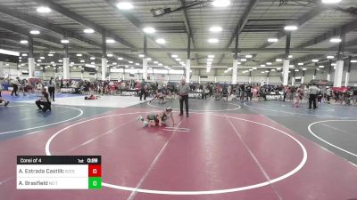 60 lbs Consi Of 4 - Anely Estrada Castillo, Xcess vs Allie Brasfield, No Team