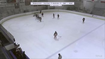 Replay: Home - 2023 Sound Tigers U12 vs Bandits U12 (G) | Dec 2 @ 10 AM