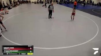 75 lbs Quarterfinals (8 Team) - Grant Cook, Rocori vs Tyson Douangdy, St. Charles